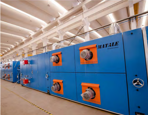 Multi-function Carpet Back Coating Line